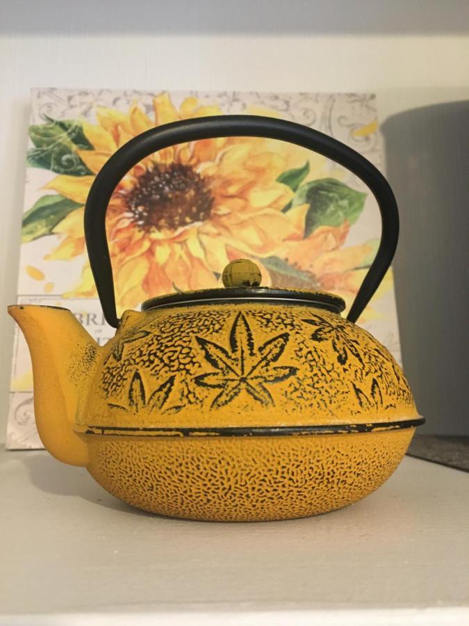 Sancerre Sunflower - Tournesol De סנסר מראה חיצוני תמונה